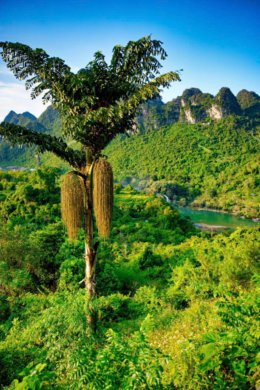 Ninh Bình